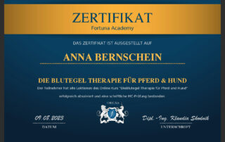 Blutegel Therapie bei Pferd und Hund