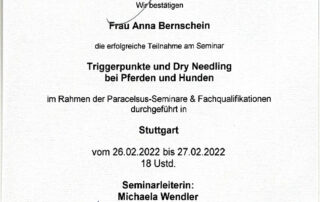 Triggerpunkte (Dry Needling) bei Pferden und Hunden